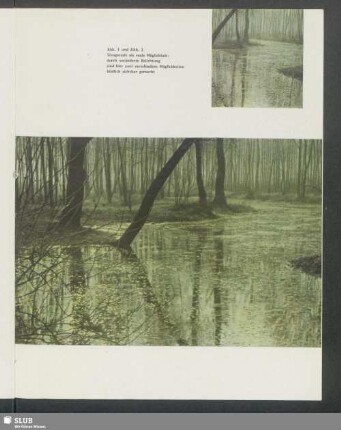 Auenlandschaft