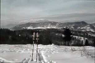 Poiana Brasov: Wald-Durchblick auf Poiana, vom Schullerweg