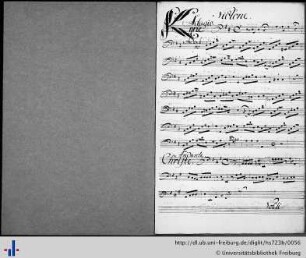 Violone.