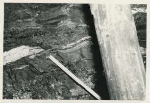 Dresden-Gittersee. Grubenfeld Gittersee. 2. Sohle. Aufhauen 3, Strecke 361 West bei 11,50 m. 5. Flöz. Lette 2 abgeschert