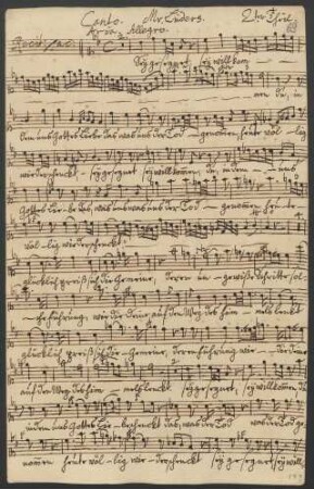 Canto (Mr. Lüders)