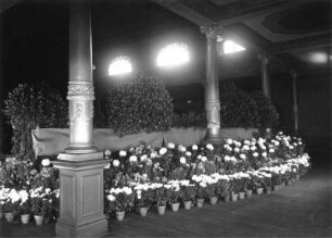 Roßwein. Hotel Herkules, Markt 3 (2. Hälfte 19. Jh.), 1898 Anbau Herkulessaal. Blumendekoration im Herkulessaal