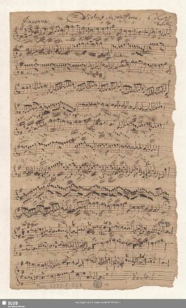 Violino in unisono