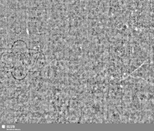 SW = Marmoriertes Vorsatzblatt