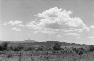In der Ebene von Cobbo : Blick in eine ebene Savannenlandschaft