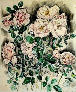 Weisse Rosen
