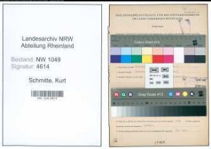 Entnazifizierung Kurt Schmitte , geb. 18.04.1909 (Kaufmann)