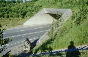 Wattkopftunnel, Westportal