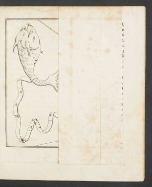 Tafel 16.: Fische.