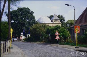 Potsdam, Eiche.