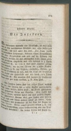 Fuenfte Klasse. Die Insekten.