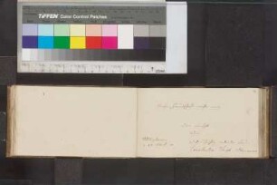 Einträge und Illustrationen Bl. 21 - 105