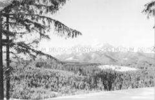 Winterlandschaft am DDR-Tourismusort Zakopane in der Hohen Tatra (Karpaten) in Polen