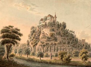 [Schloss Werenwag]