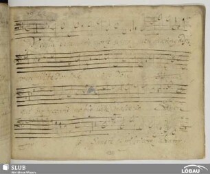 [62.] 39. Gallus, Iacobus: Media vita