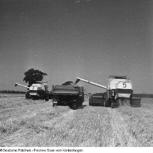 Landwirtschaft (Lagerhäuser, Neubau, Kongreß mit Krolikowski, Buchstand, Kartoffelsortieren, Gewächshaus, Kartoffeln, Getreideernte mit Mähdreschern, Auszeichnung auf dem Feld, Pflügen, Pflanzhütchen)