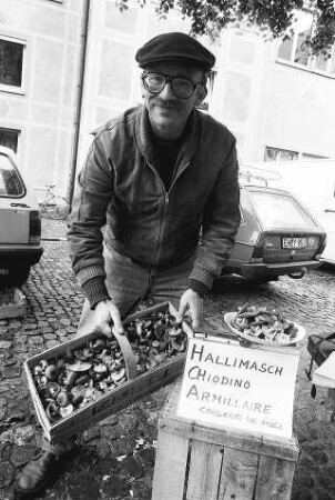 Freiburg im Breisgau: Helgo Bran mit Hallimasch-Pilzen auf dem Münsterplatz