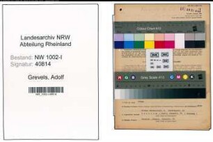 Entnazifizierung Adolf Grevels, geb. 02.09.1895 (Kaufmann)