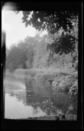 Chavailles (Dep. Aisne, Frankreich): "Parkteich" des Schlosses (Uferpartie)