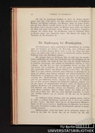 Die Bepflanzung der Gemüsegärten.