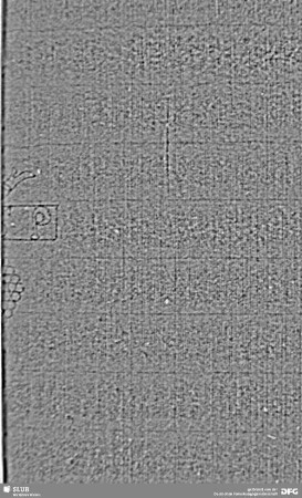Wasserzeichen S.37_38