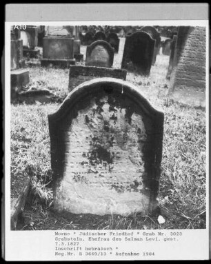 Grabstein, Ehefrau des Salman Levi (+ 1827.03.07)