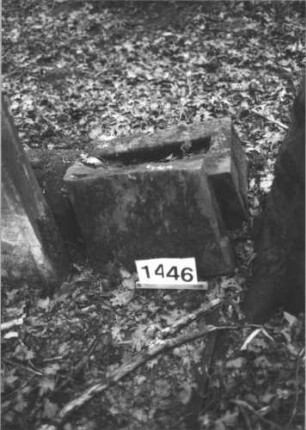 Grabstein 1446