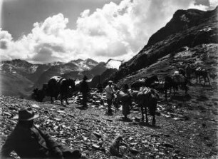 Reisegruppe : Reisegruppe auf einem Bergkamm.