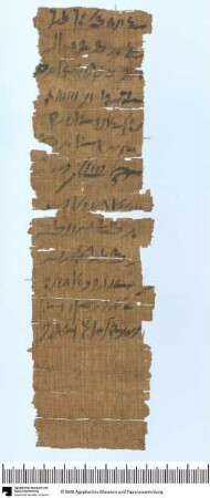 Demotischer Papyrus, Hochformatbrief