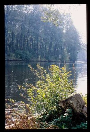 Löcknitz b. Erkner 10.10.80.