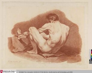 [Aktstudie]