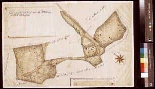 Geometrischer Grundriss über die Waldungen des Hofguts Ödengesäß (Inselkarte)