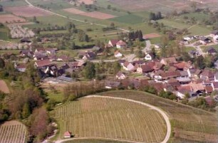 Zunzingen: Ort, südlich mit Blüten und Straße