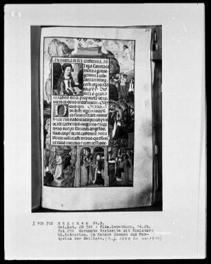Flämisches Gebetbuch — Szenen zum Martyrium der heiligen Katharina, Folio 256recto