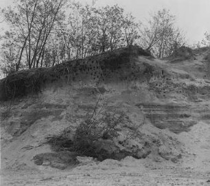 Kiesgrube am Reiherberg bei Golm, Lagerung von Sand und lehmiger Grundmoräne : Technikgeschichte | Technik und Wirtschaft | Norddeutsche Bodenschätze | Kies
