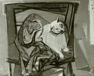 Katze