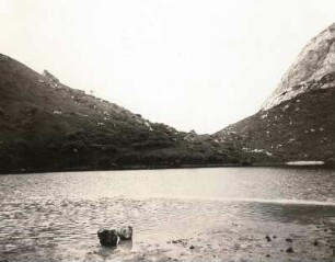 Ostalpen. Dolomiten. Fedajasee in der Marmolatagruppe