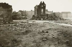 Dresden-Altstadt. Ruine der Frauenkirche mit weidender Schafherde