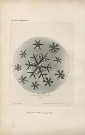 Tafel I. Schnee-Krystalle 12/. -6°R