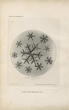 Tafel I. Schnee-Krystalle 12/. -6°R