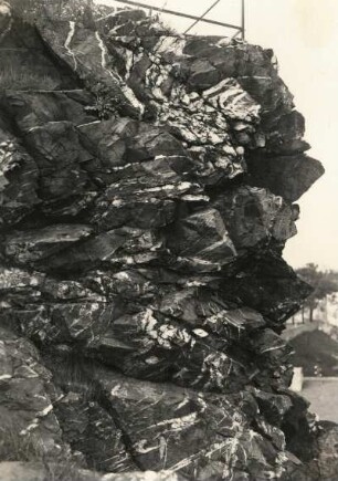Vogtland. Schöneck. Friedrich-August-Stein. Grauwackenquarzit mit weißen Quarzadern
