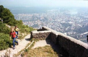Singen: Hohentwiel, Besucher, oben (Hintergrund Singen)