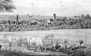 Schmirchau. Ortsansicht mit Bockmühle