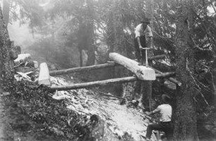 Waldkarpathen, Urwald am Pop Ivan, östlich von Trebusa. Waldarbeiter beim Brettsägen