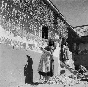 Reisefotos Rumänien. Bauernhaus mit Frau, Paprika zum Trocknen aufhängend