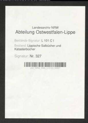 Salbuch der Stadt Lemgo von 1861, Bd. 5