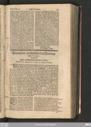 Evangelium am fünffzehenden Sonntage nach Trinitatis. Vorstellend Einen nachdrücklichen Sorgen-Stiller.