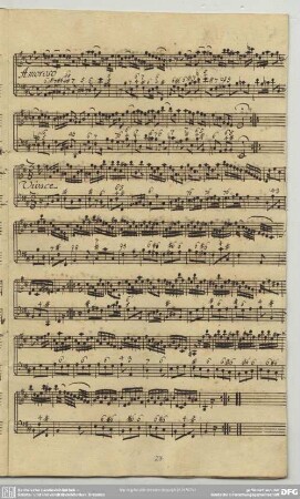 [3.] Amoroso