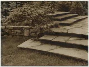 Garten Reinicke, Berlin-Zehlendorf: Treppe