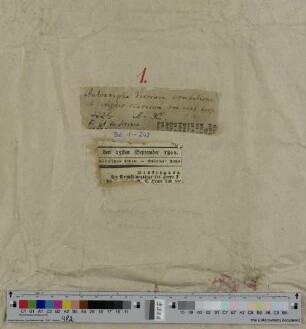1. Autographa virorum eruditione et scriptis clarorum ord. alph. disp. A-K (Blatt 1-242)